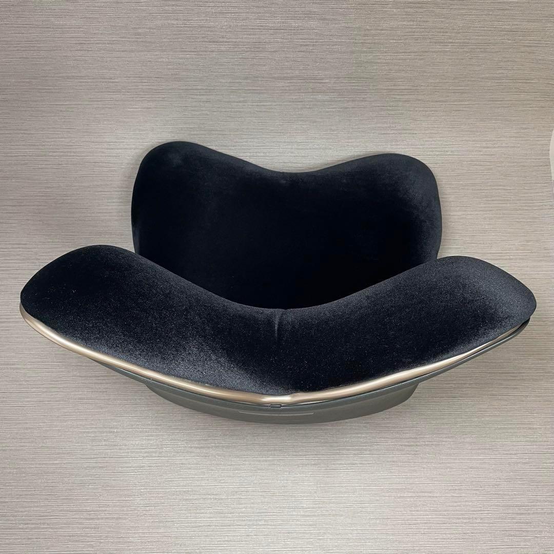 美品✨Style PREMIUM DX スタイルプレミアムデラックス ブラック