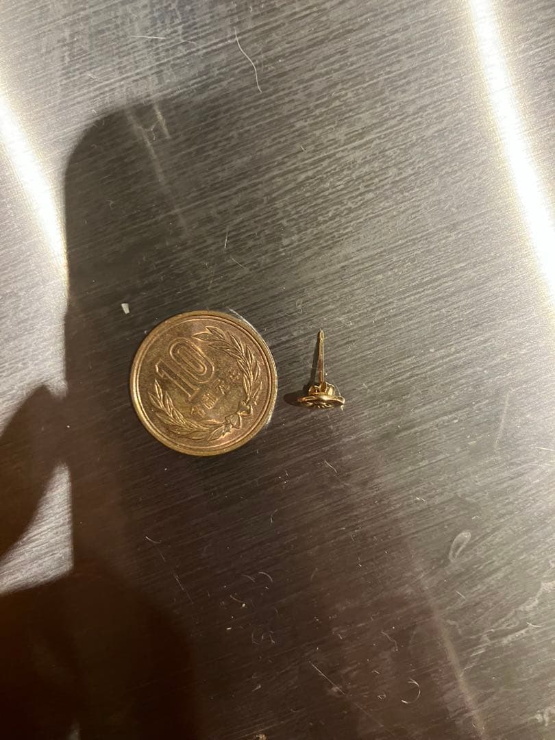 ARIZONA FREEDOM P-8d K18 ピアス