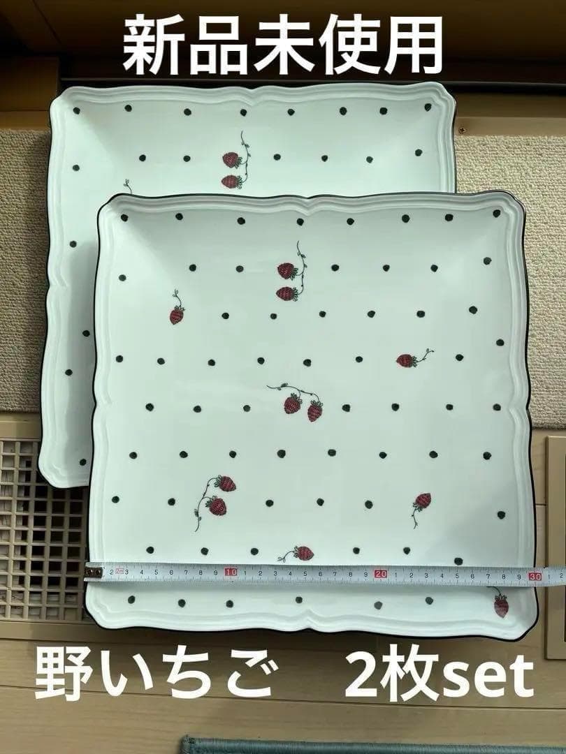 リチャードジノリ イタリアンポア / 野いちご（30㎝） No2