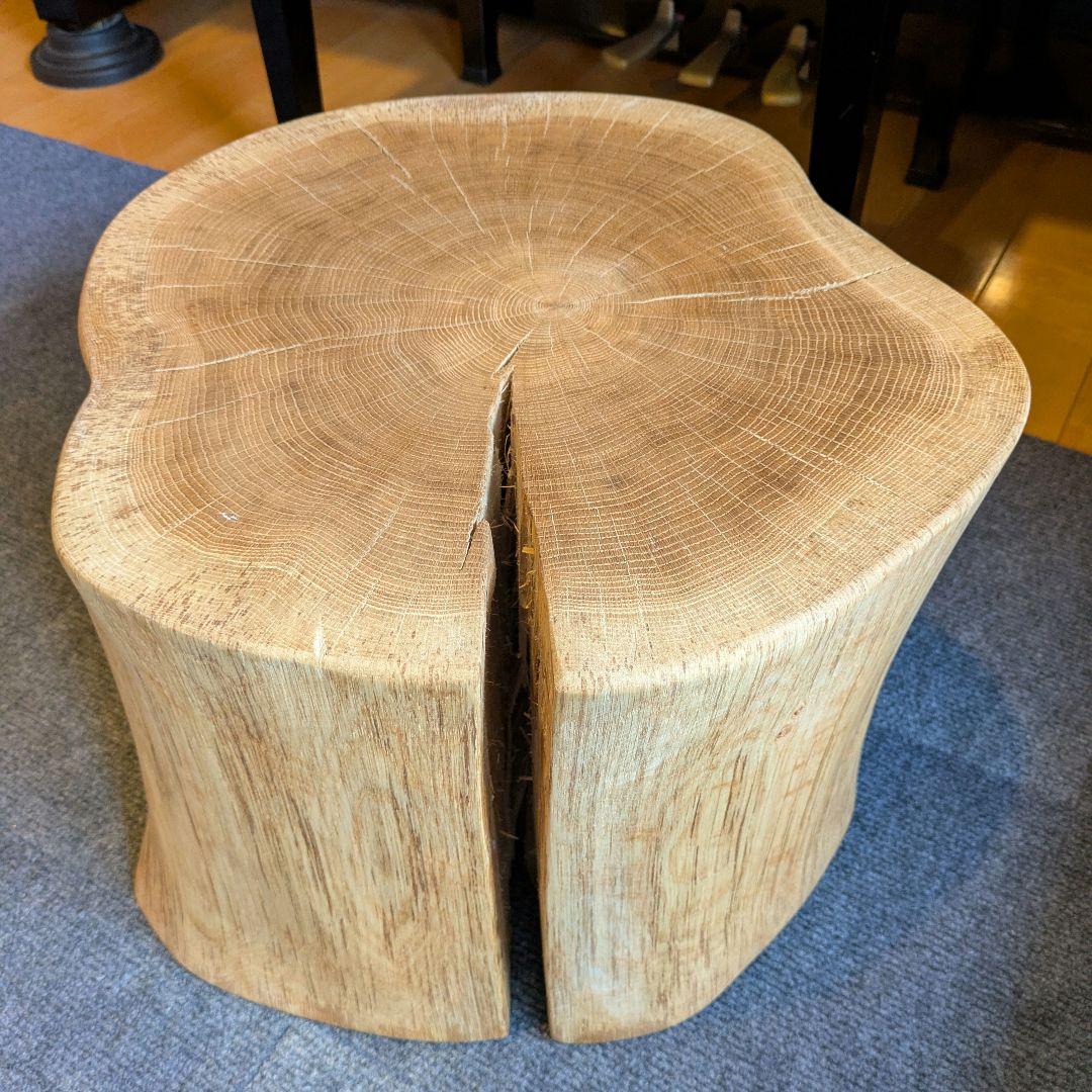 3104　　ミズナラ　水楢　天然木　切り株　丸太　輪切り　高さ約28㎝