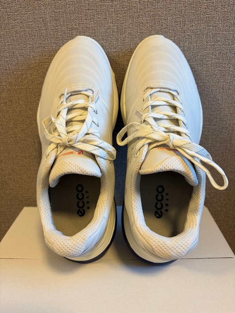 ecco ゴルフシューズ メンズ
