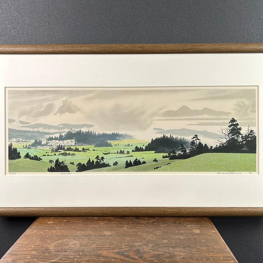 ブライアン・ウィリアムズ「summer」リトグラフ 直筆サイン入り 額縁入り