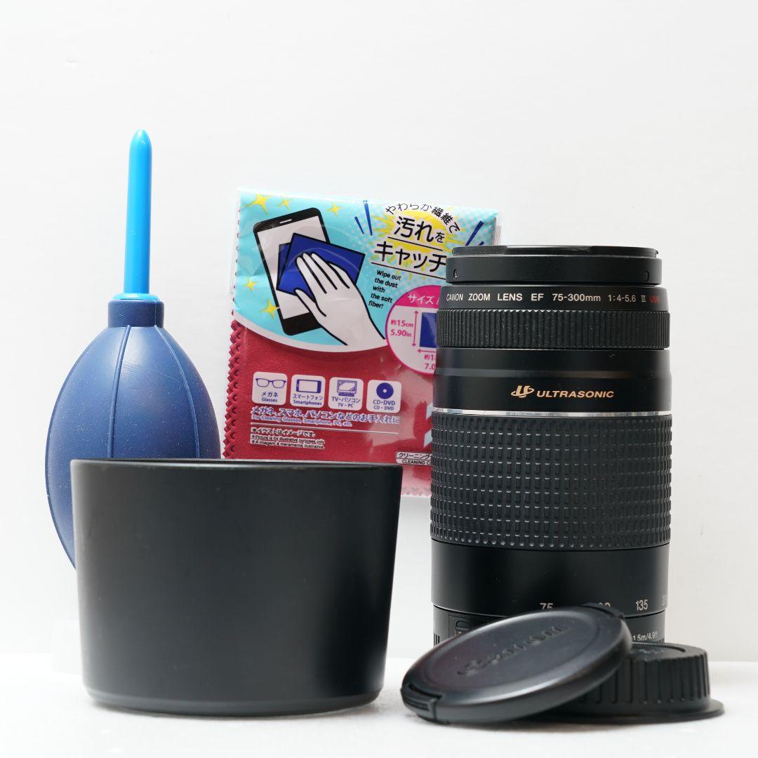 Canon EF 75-300mm III USM ズームレンズ