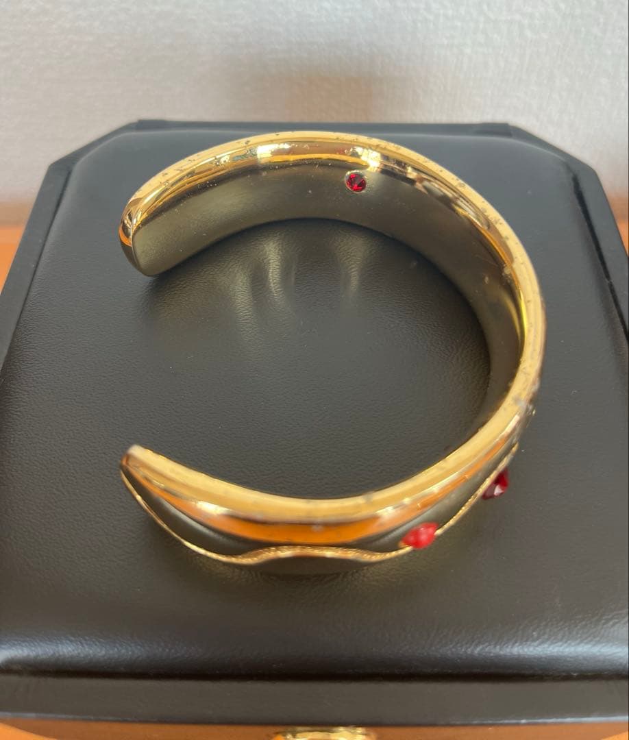 【貴重】RAJAS 新リンパ療法 ラジャスリング セット 最上級 ラジウム