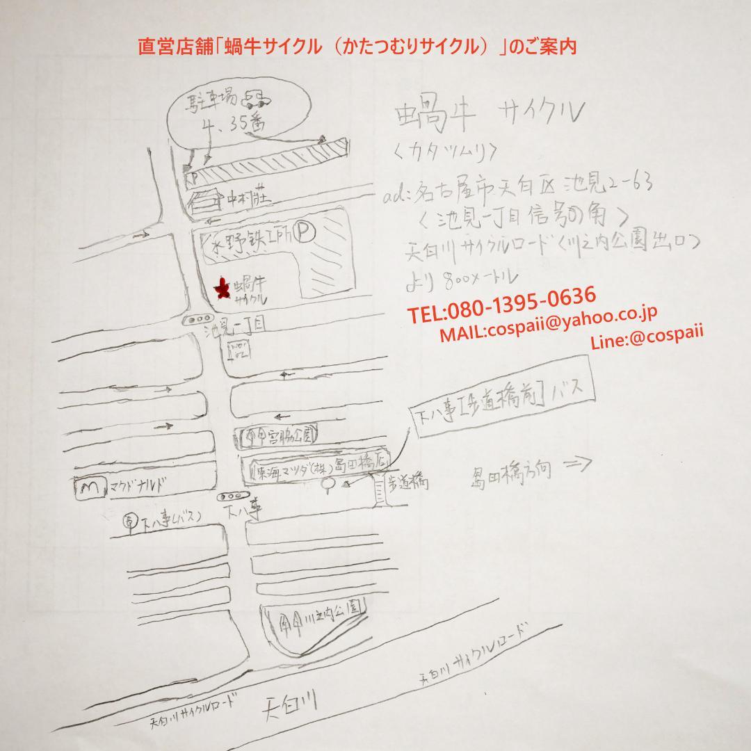 BROMPTON 外装5速　p line仕様　フルカスタマイズ　レトロ　9.9㎏