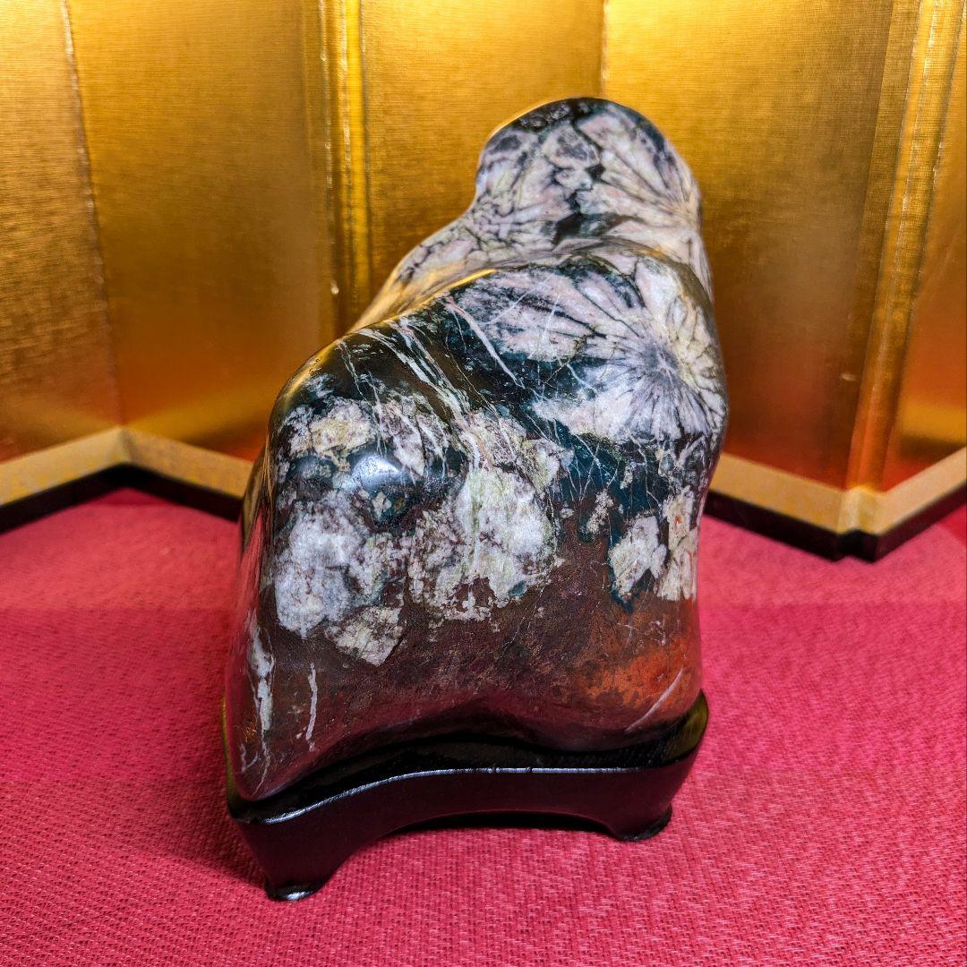 菊花石 岐阜県根尾谷産4.9㌔ 鑑賞石 観賞石 水石 盆石 天然石 三蓋松