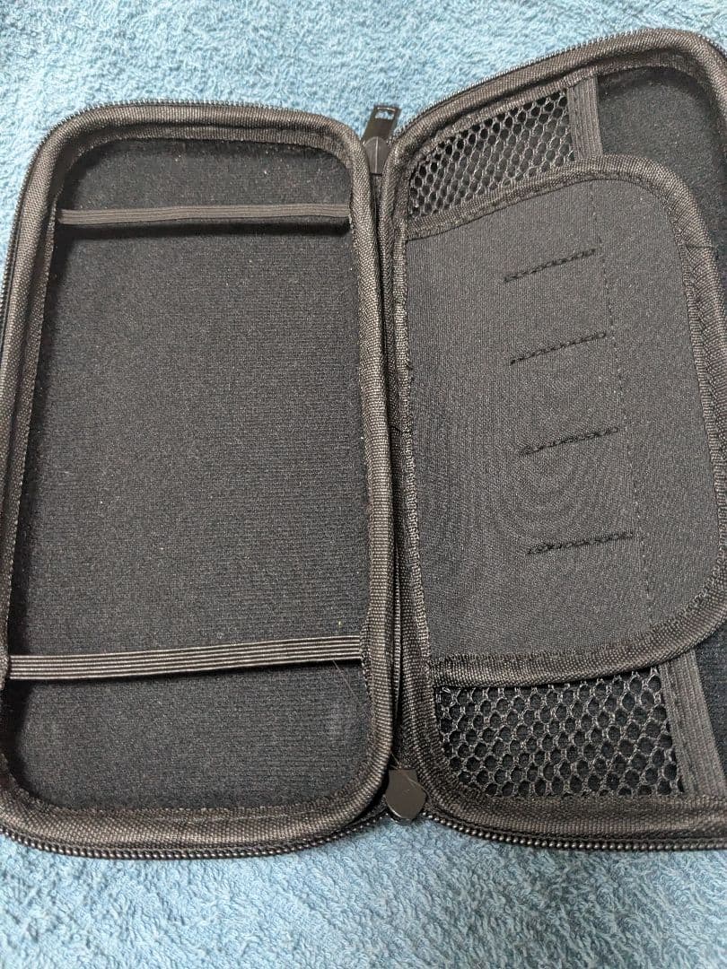 Nintendo Switch Lite コーラル + ケース