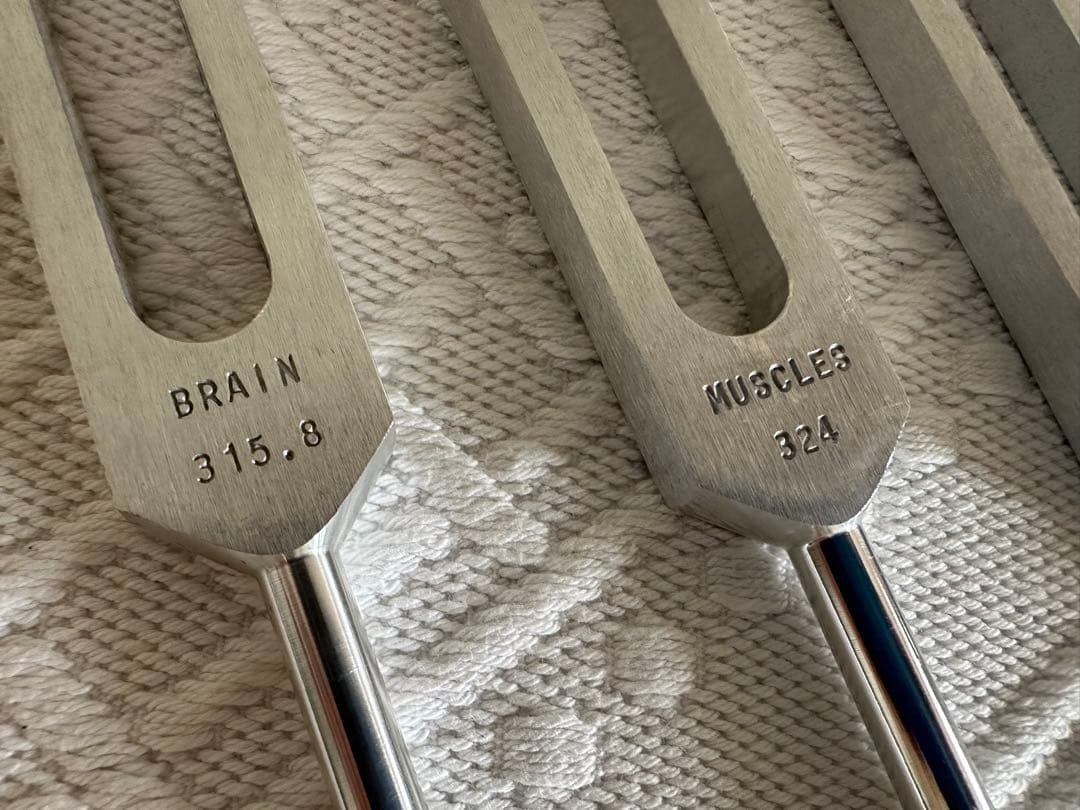 【万葉】音叉15本セット各臓器に対応 米国製ヒューマンオーガンセット