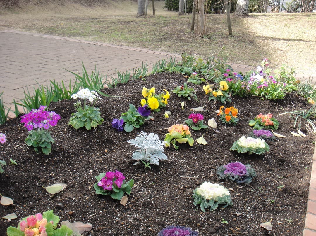 実写美⭕️【動作確認済み】Sony Cyber-shot DSC-TX1 ブルー