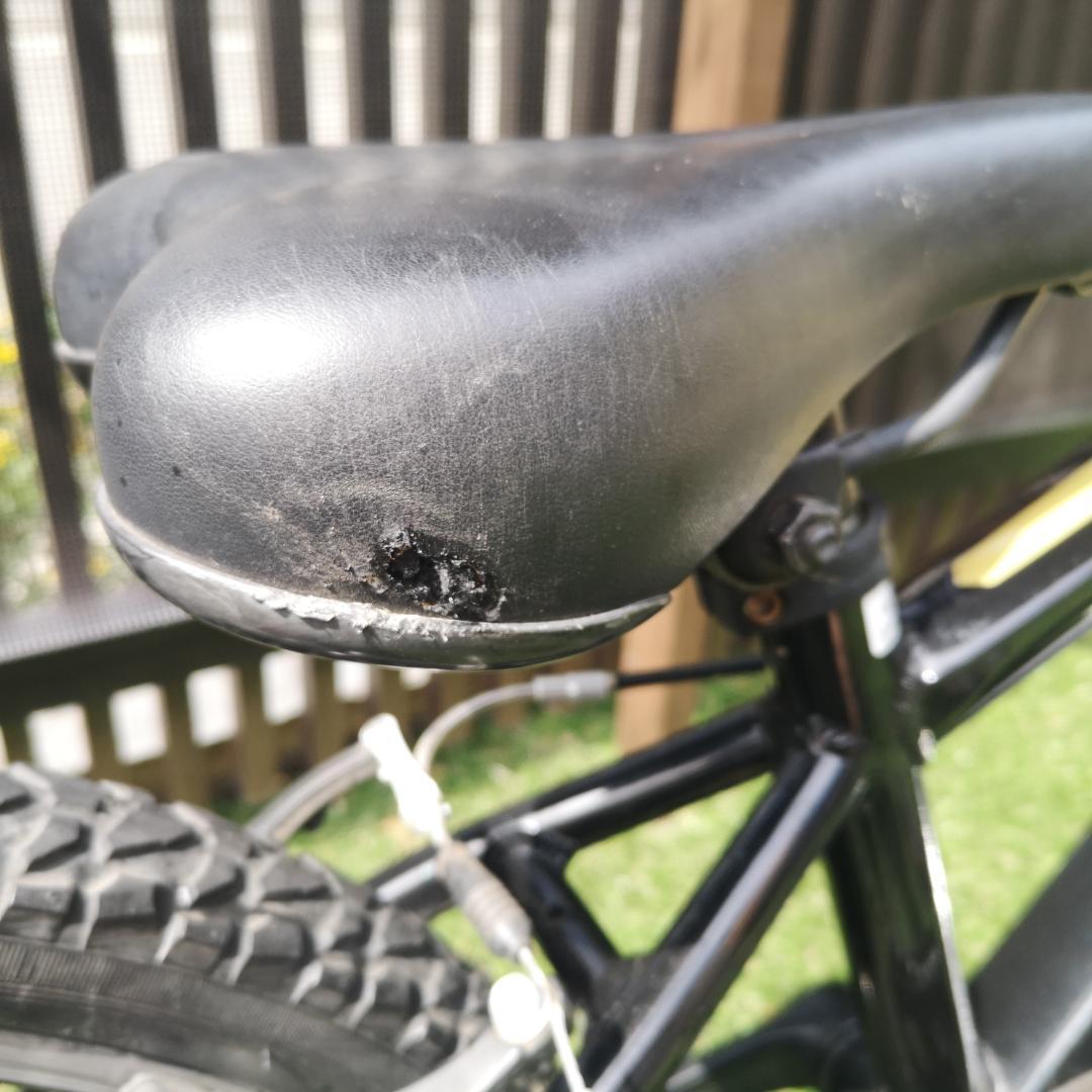 2023年購入 NESTO X-VALLEY KID 20インチ マウンテン