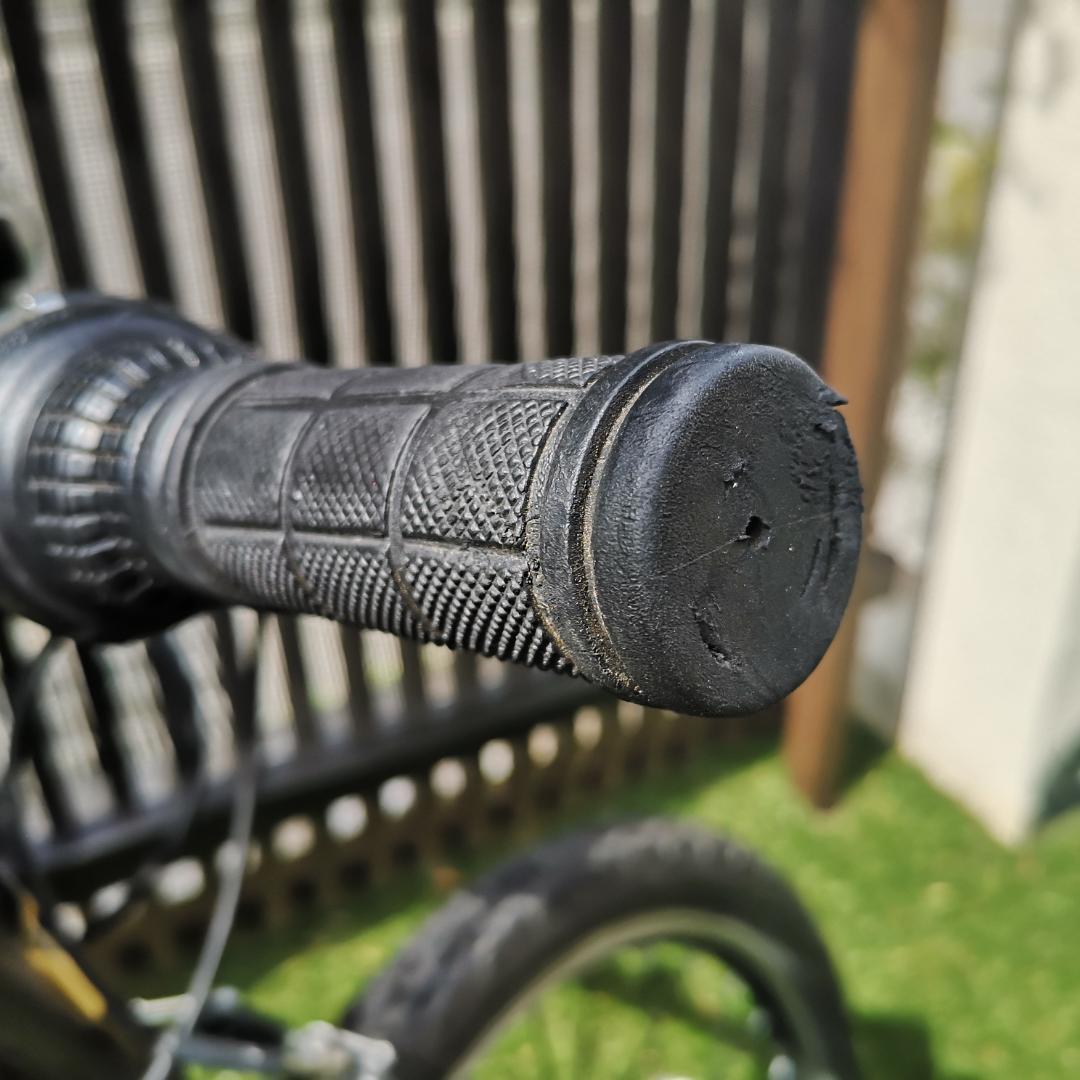 2023年購入 NESTO X-VALLEY KID 20インチ マウンテン