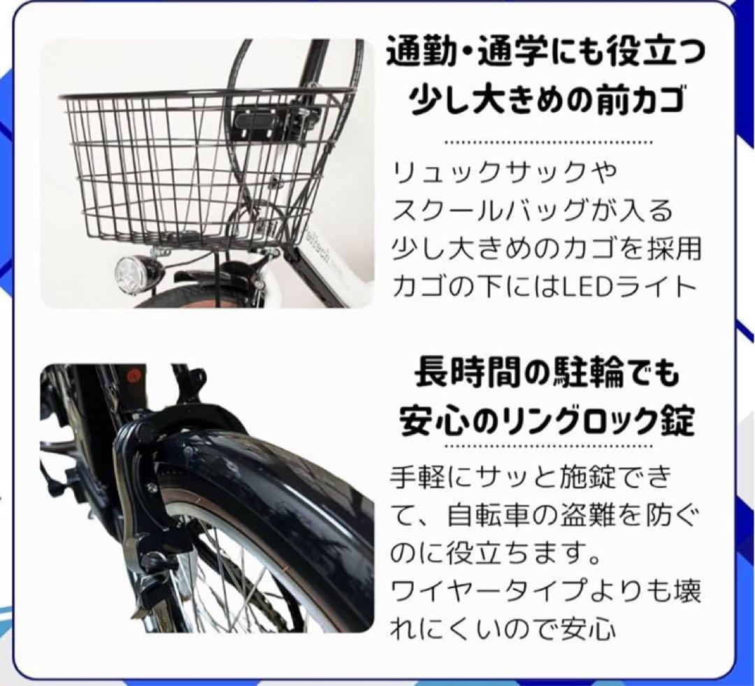Peltech電動アシスト折りたたみ自転車 ホワイト TDN-206L