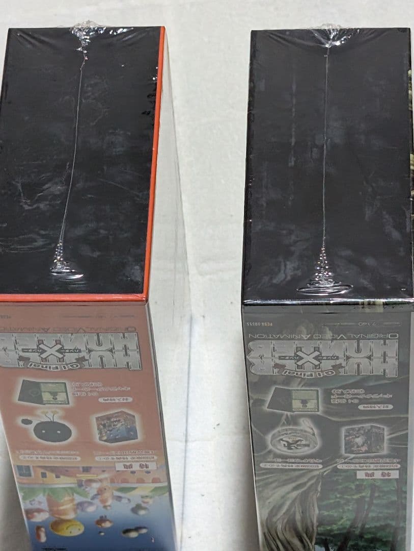 HUNTER×HUNTER OVA G.I編 初回盤 DVDセット 特典付き