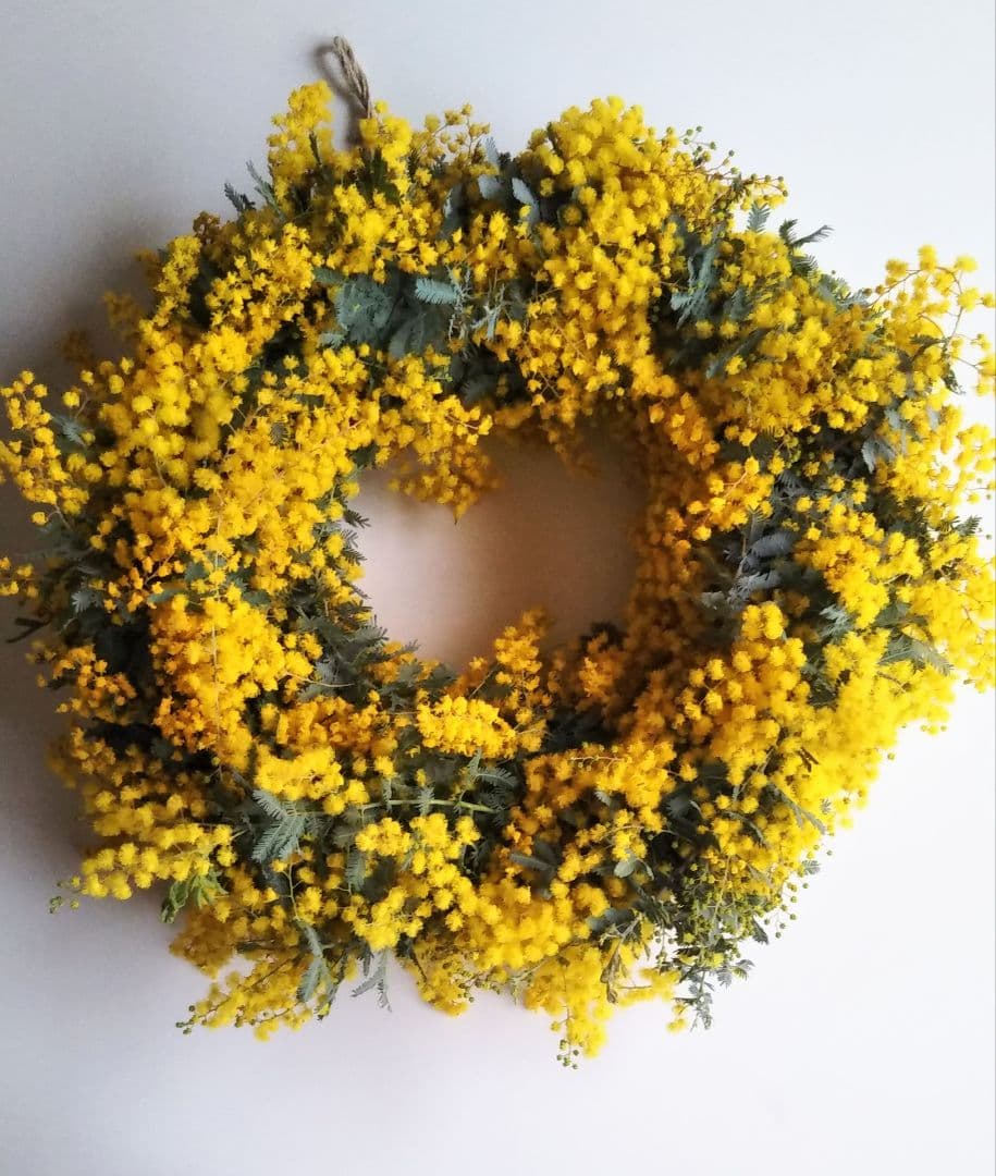 lilyyyy3ページ＊　☘ミモザフレッシュスワッグ・リース☘　②・③