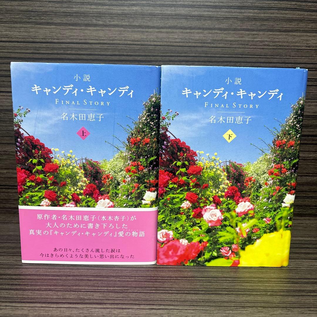 小説キャンディ・キャンディFINALSTORY上下巻セット - メルカリ