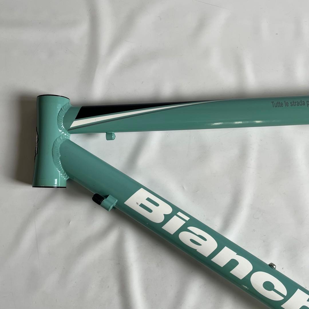 BIANCHI ROMA II 46サイズ