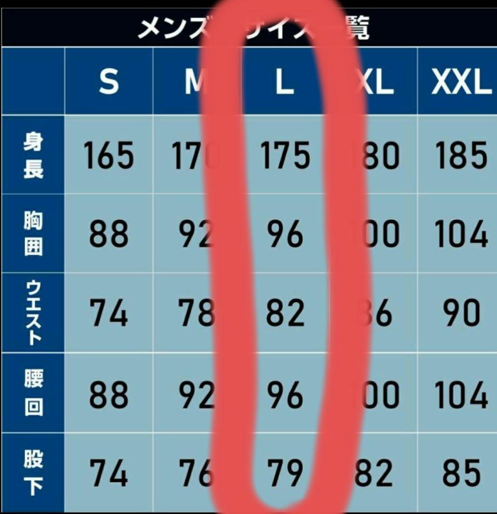 nnoum耐水圧20000mm メンズスキーウェア上下 Lサイズ　新品未使用品