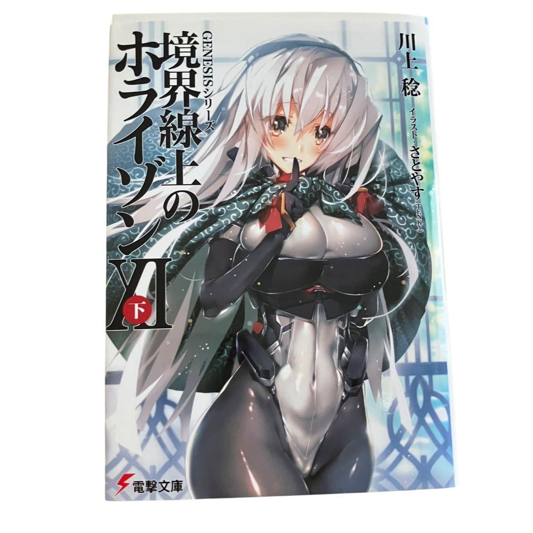 境界線上のホライゾン 全29巻+ガールズトーク3巻　全32巻　全巻セット