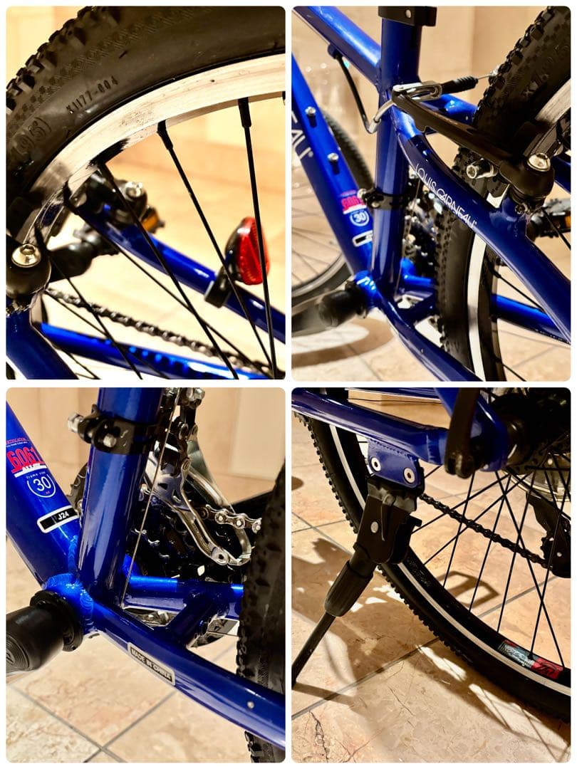 【23区内東エリアで手渡し限定】ルイガノ 24インチ LOUIS GARNEAU