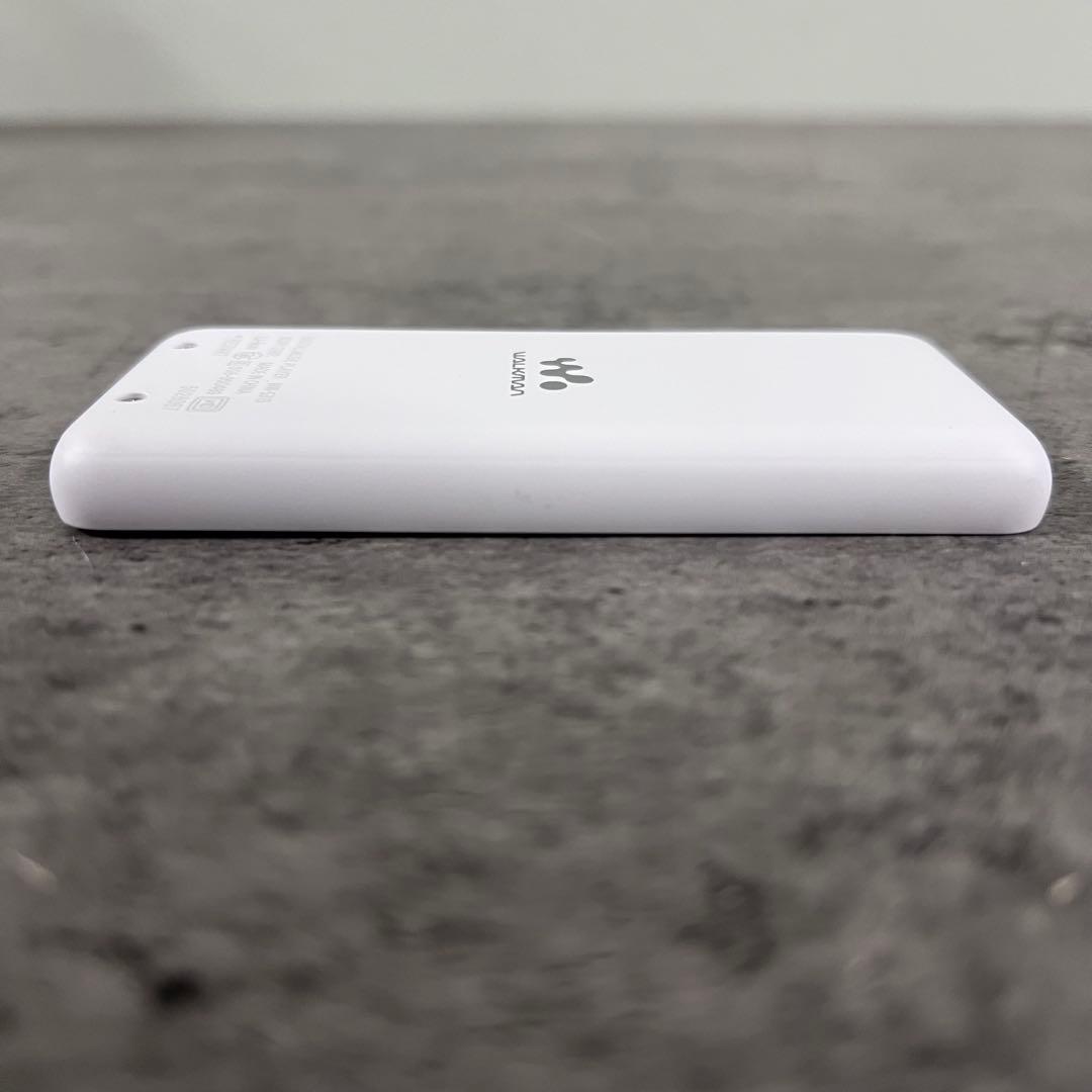 SONY ウォークマン NW-S315 16GB