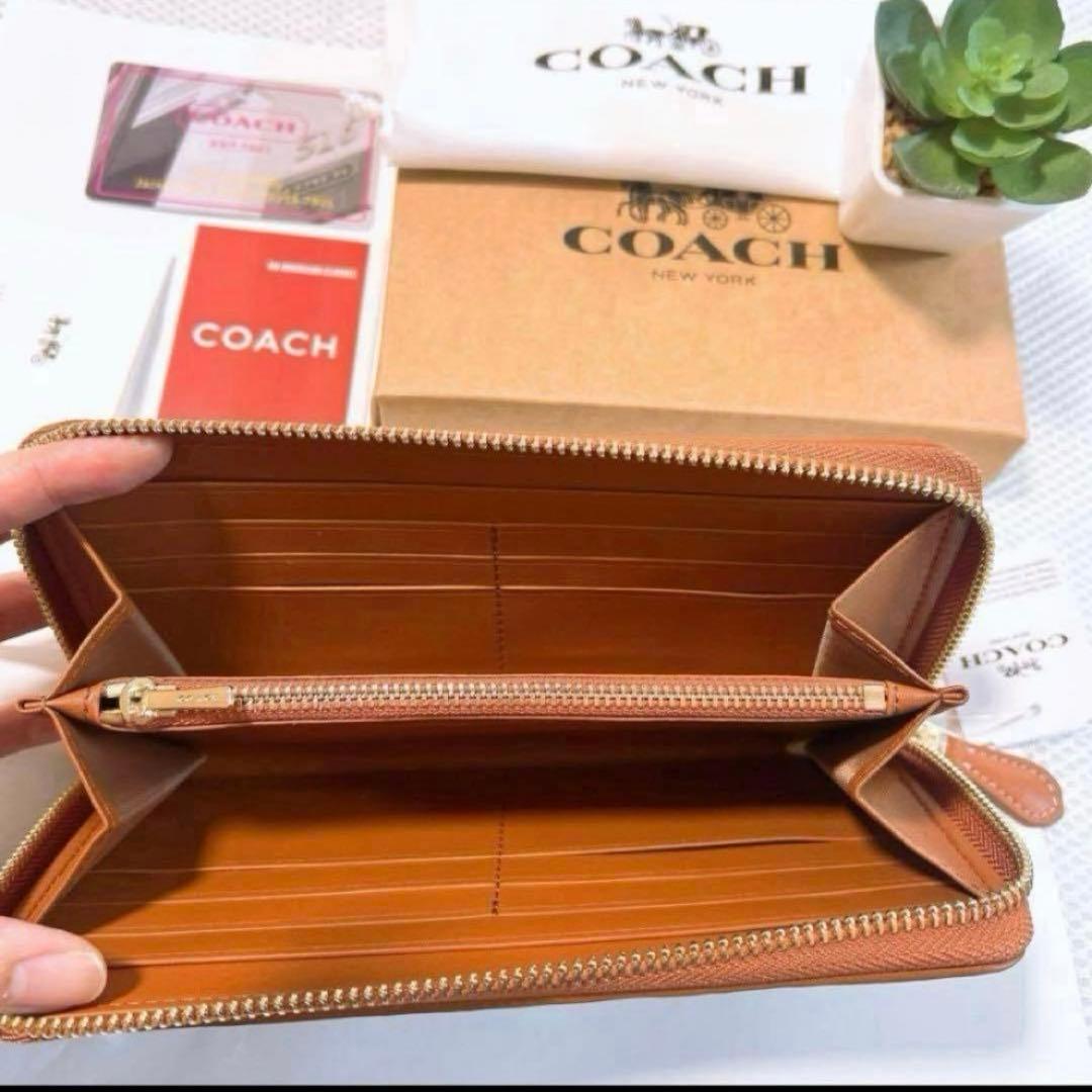 ✨新品未使用✨COACH ディズニー　ミッキーマウス　シンデレラ城　限定