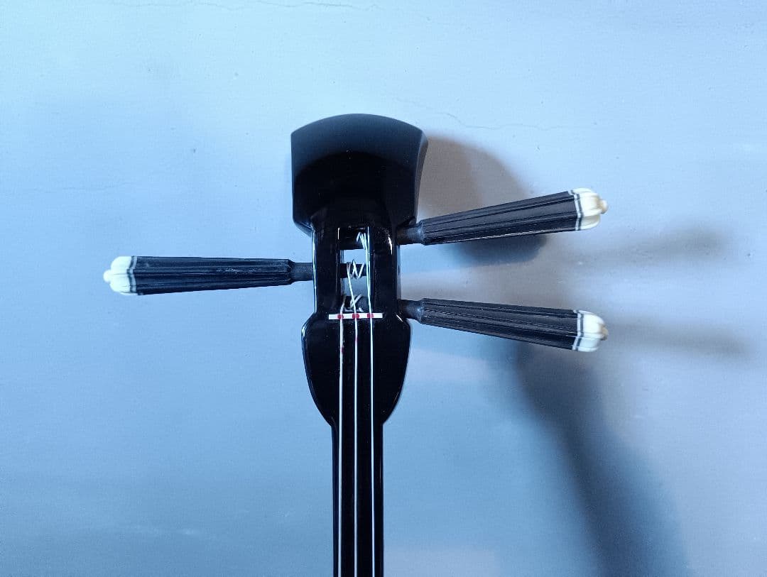 沖縄 三線 本体 ケース付 蛇皮 胴巻uティーガー付