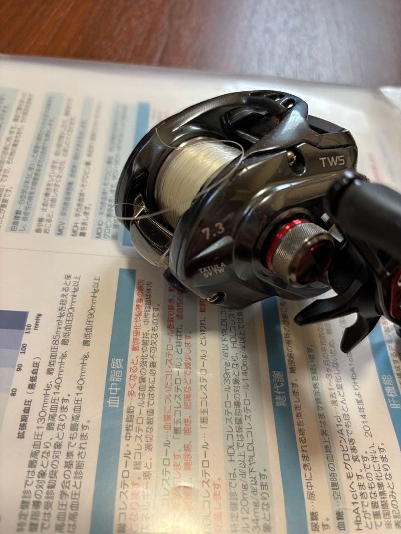 17タトゥーラ　sv tw 7.3