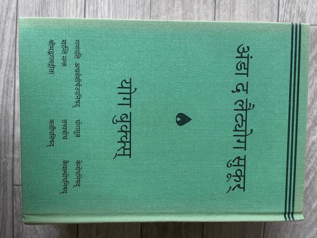 ヨーガ・ヴィッディヤー　YOGAの知恵　向井田みお
