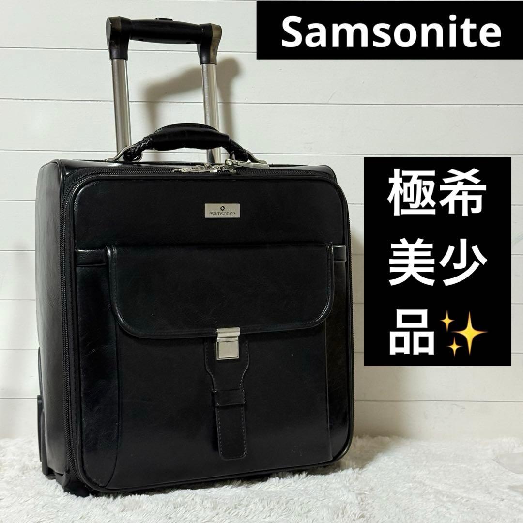 マークニューソン サムソナイト 希少 極美品】マーク・ニューソンx