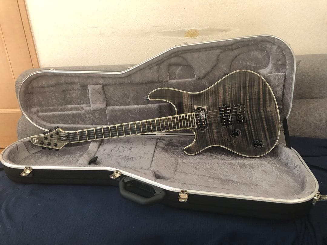 ギター Mayones Regius 6/Lefty (T-GRA-G)