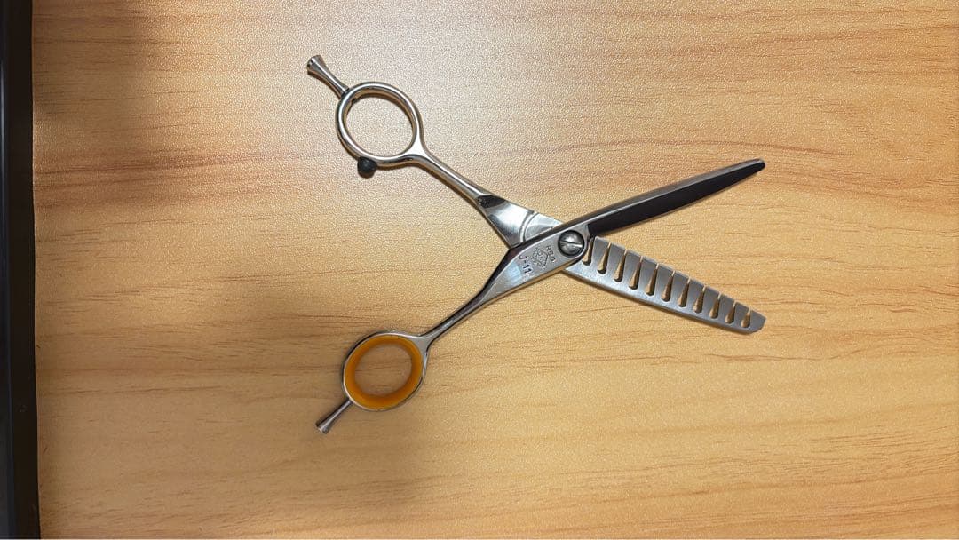 神田文一　reg ok sg セニング　シザー　希少　80% j-11