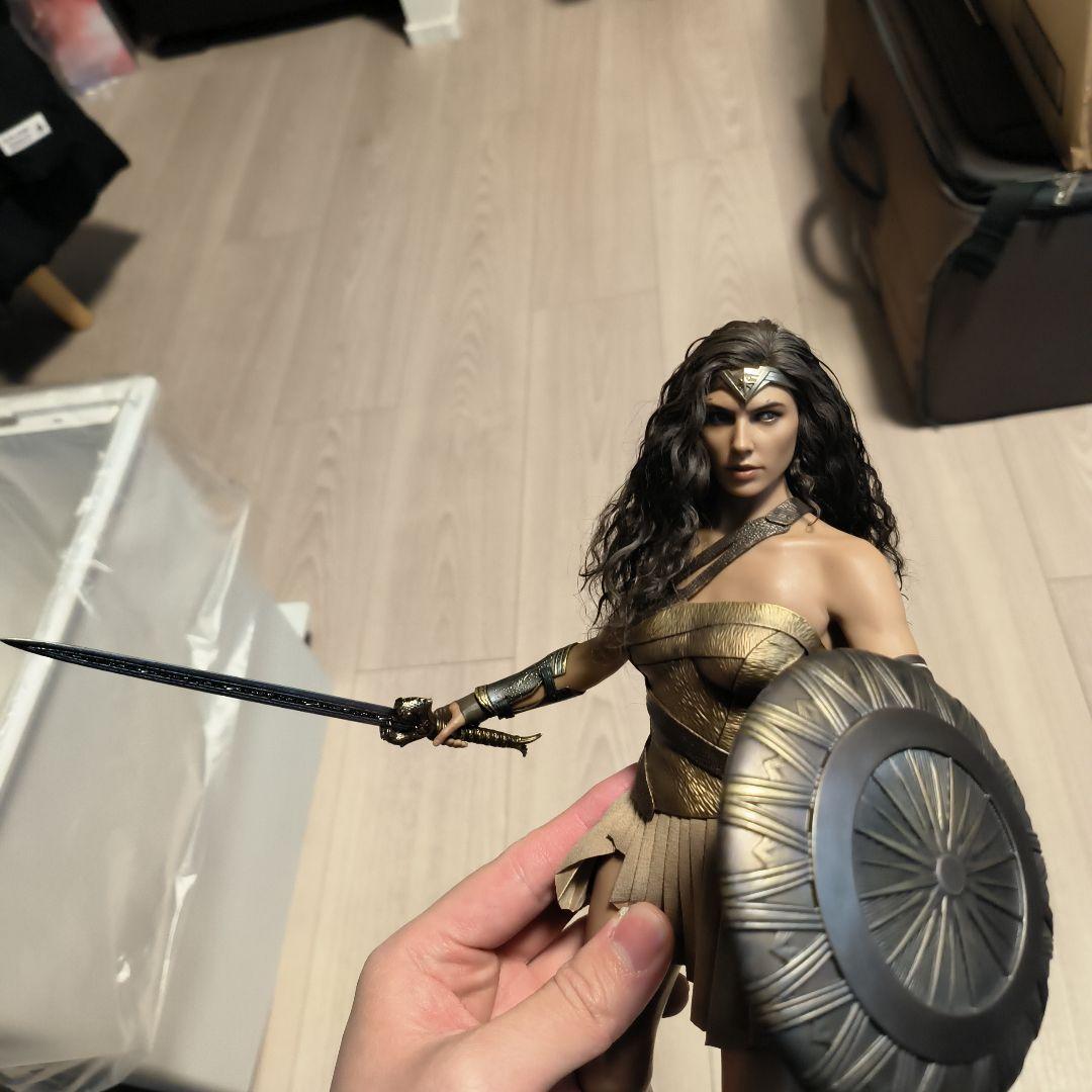 ホットトイズワンダーウーマン 天堂島訓練カスタマイズ