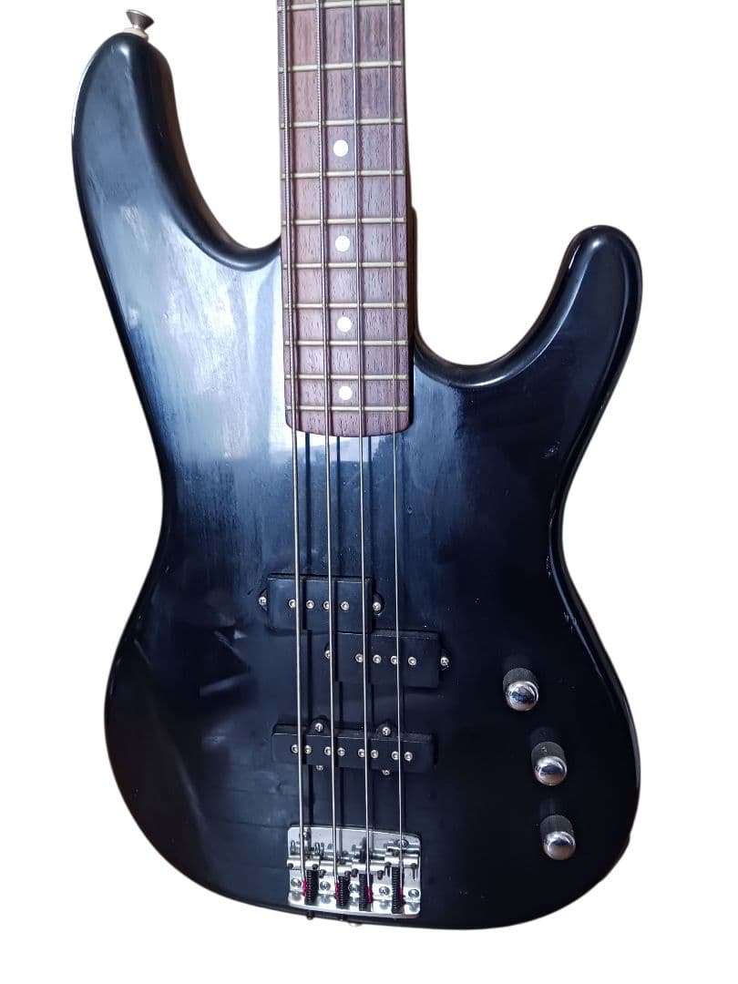 TAKE CHAN専用　Aria Pro II MAGNA Series