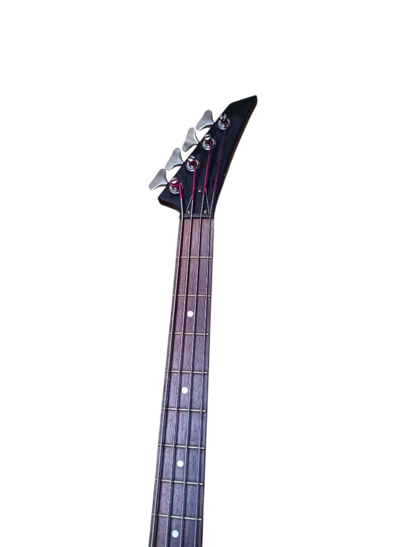 TAKE CHAN専用　Aria Pro II MAGNA Series