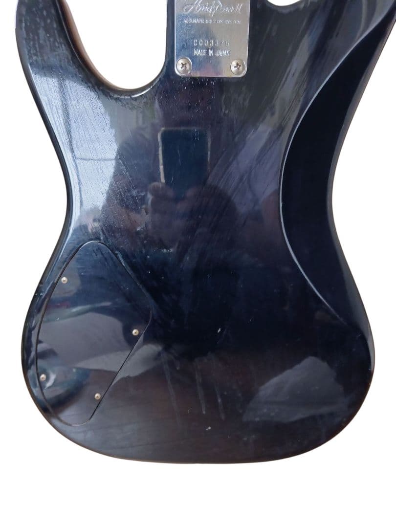 TAKE CHAN専用　Aria Pro II MAGNA Series