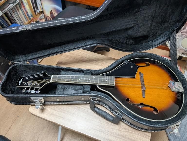 Aria フラットマンドリン AM-20 ハードケース付 美品