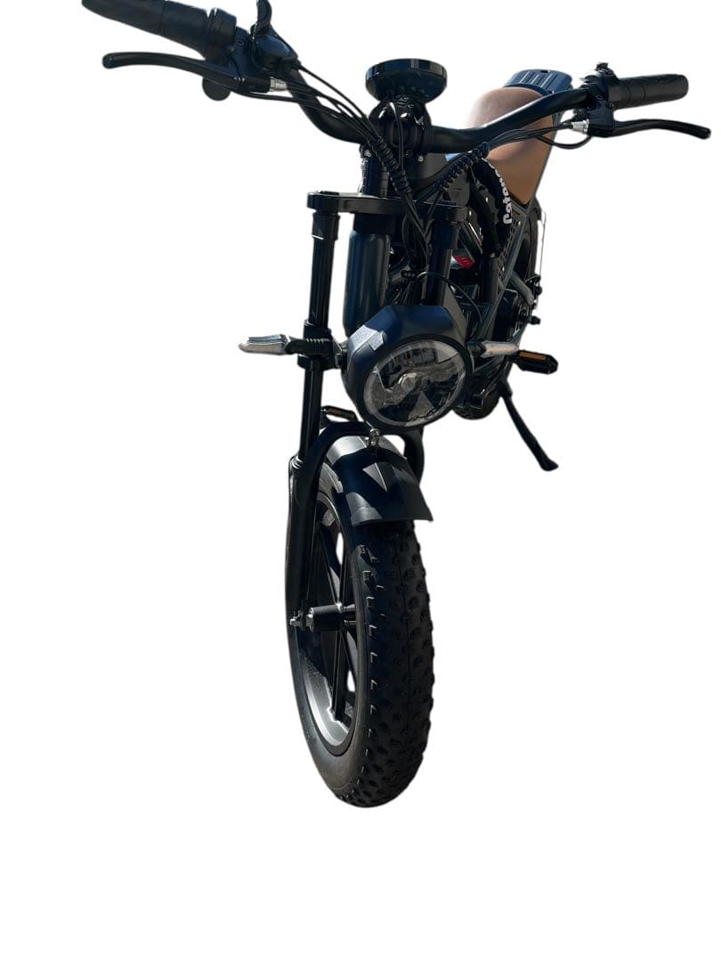 DEEPOWER 電動アシスト自転車 ダークグリーン