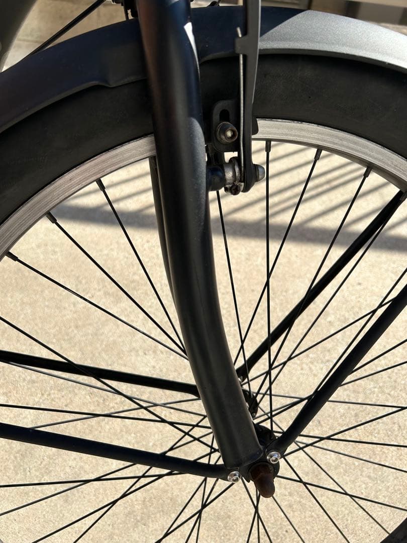 エレクトラELECTRA ビーチクルーザー【直接渡し /前タイヤとチューブ無し】