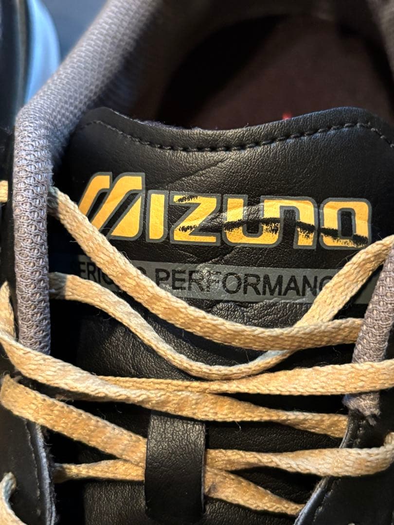 【海外限定/中敷新品】ミズノ モレリア サラ クラシック TF 28.0cm