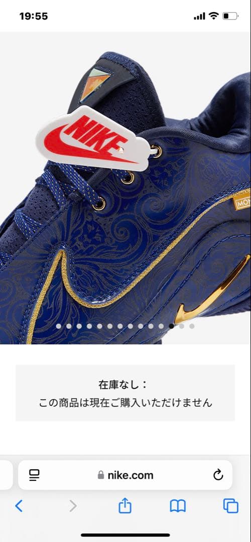 LEBRON22 MONOPORY バスケットボールシューズ