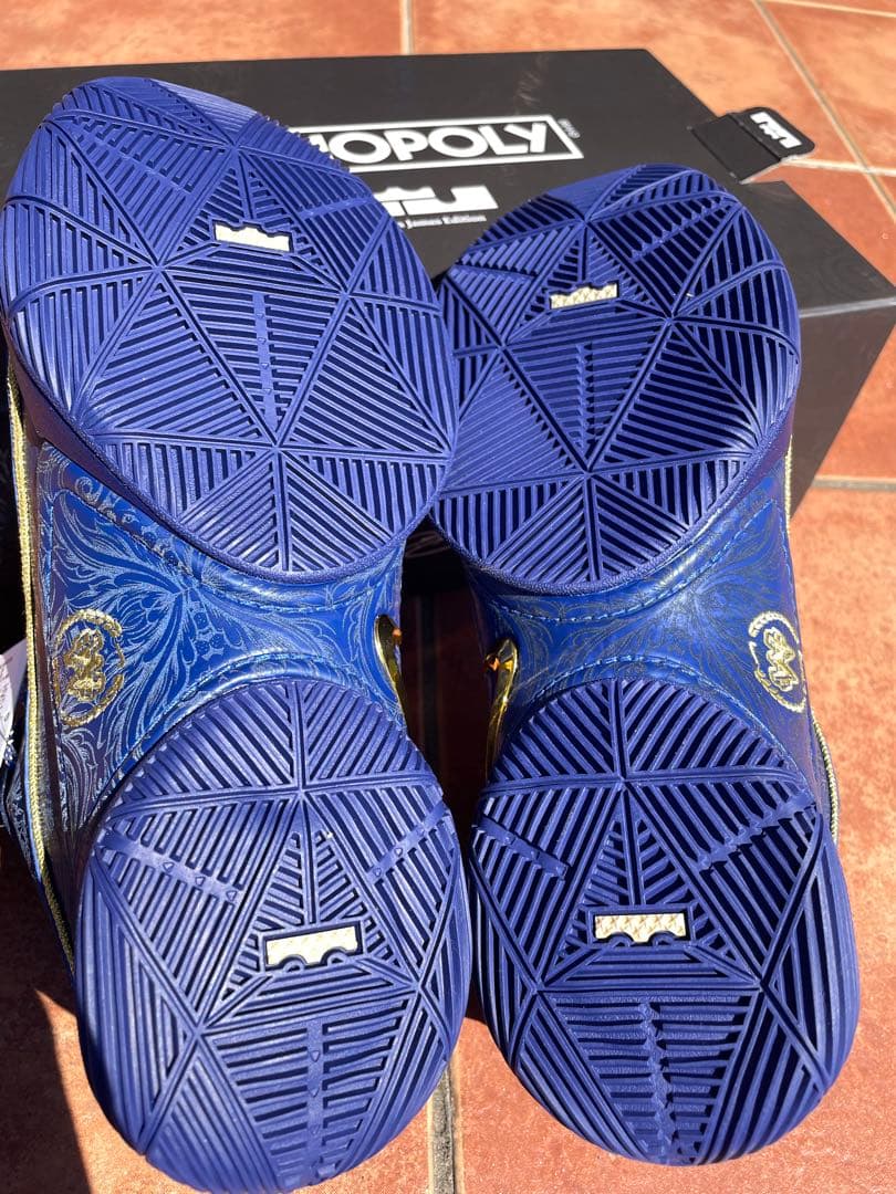 LEBRON22 MONOPORY バスケットボールシューズ