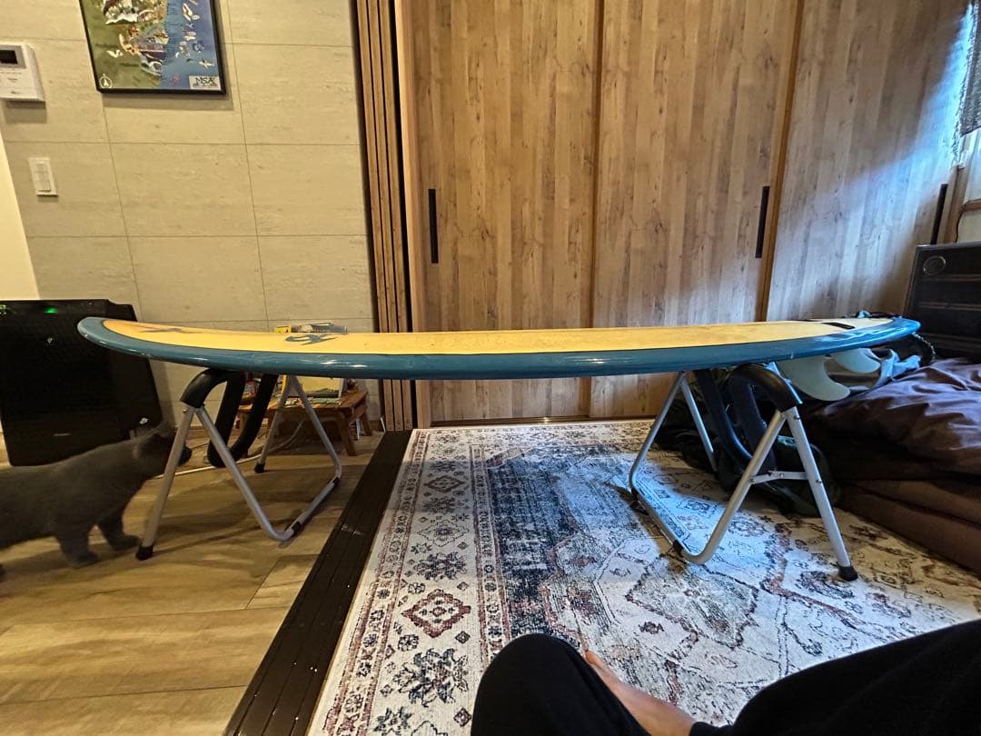 激レア 6.10 ハンドシェイプ パワープラグ オーストラリア