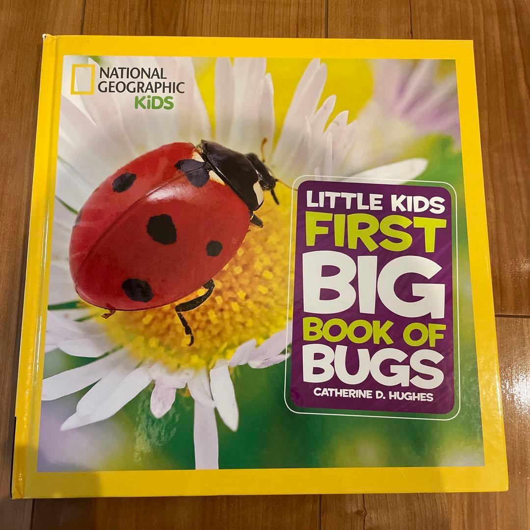 専用 Little Kids' First Big Book of など7冊