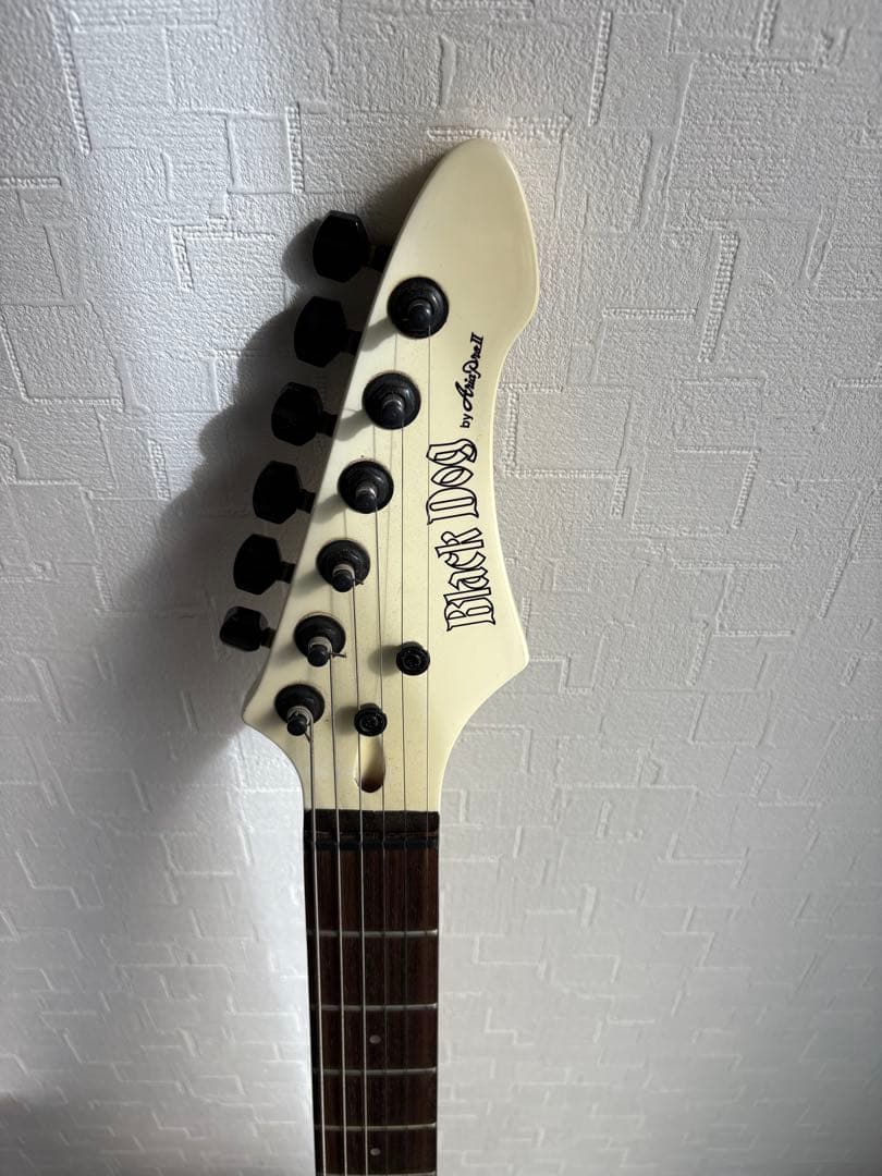 ⭐️希少⭐️ Aria Pro II（アリアプロII）　Black Dog