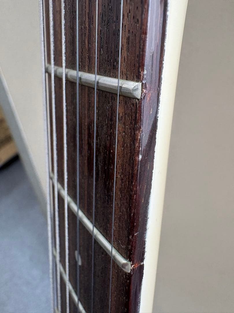 ⭐️希少⭐️ Aria Pro II（アリアプロII）　Black Dog