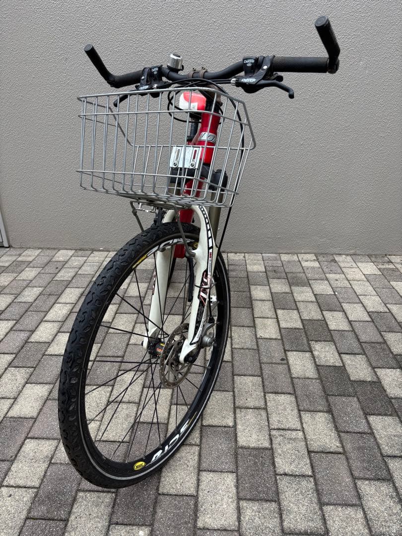 自転車本体 LOUIS GARNEAU DW-2