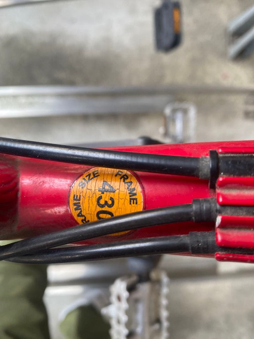 自転車本体 LOUIS GARNEAU DW-2