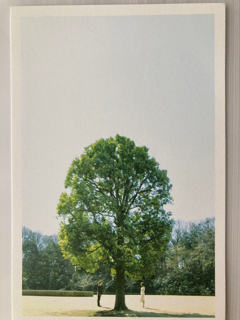 僕の生きる道 DVD 5枚組