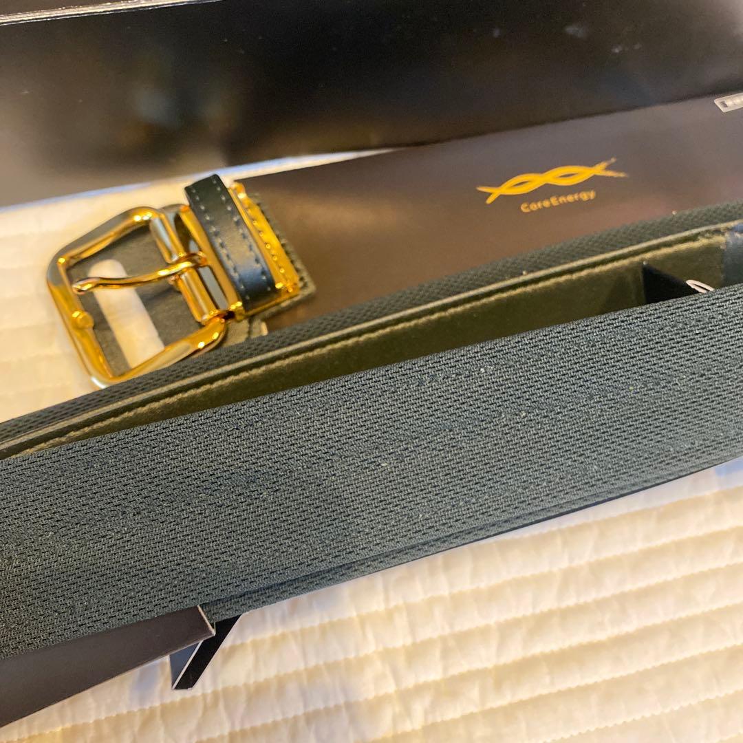 新品未使用　コアエナジーCGB