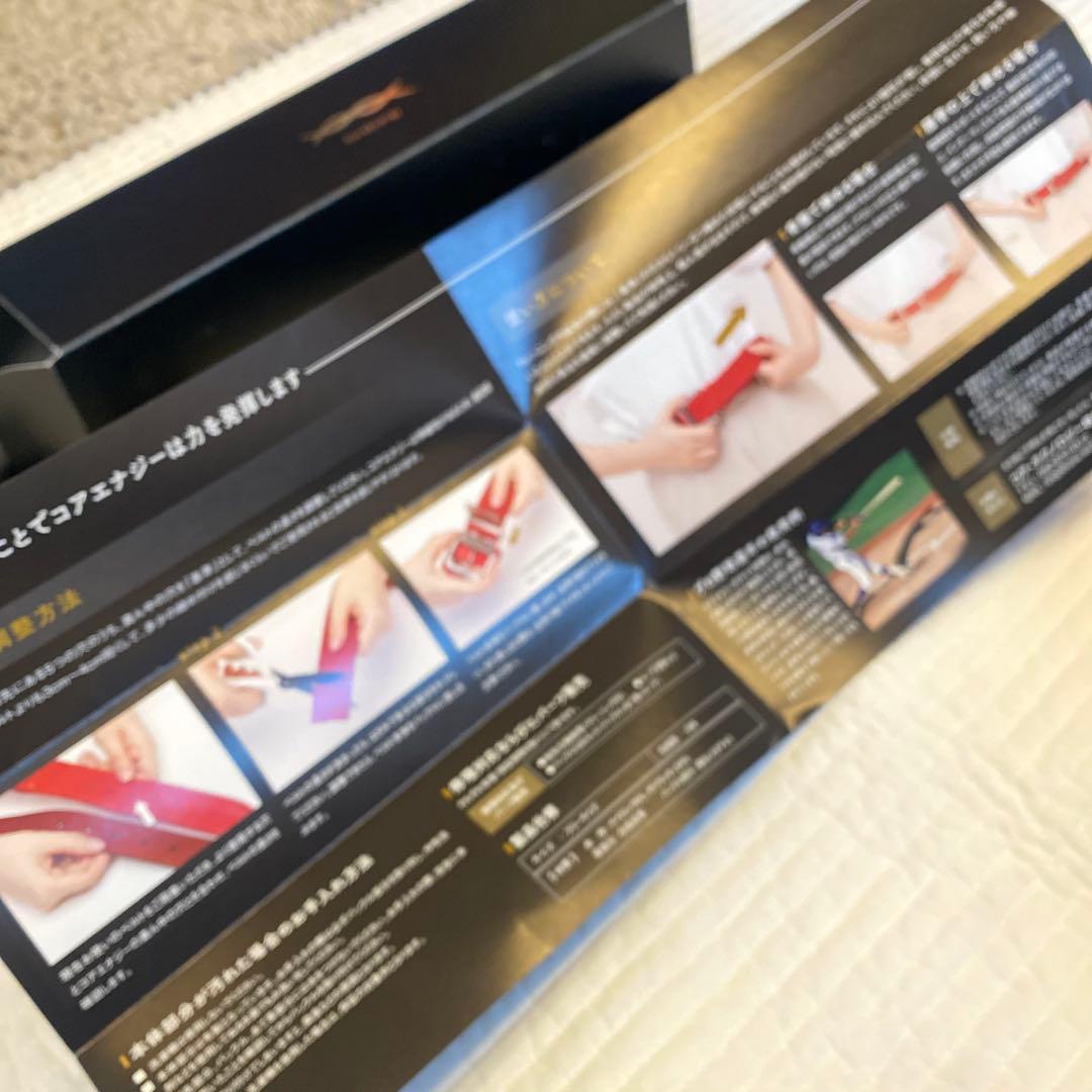 新品未使用　コアエナジーCGB